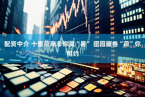 配资中介 十里荷廊非你莫“暑” 田园画卷“荷”你相约