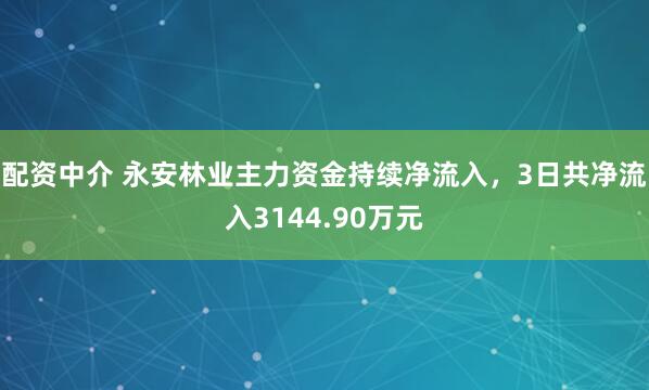 配资中介 永安林业主力资金持续净流入，3日共净流入3144.90万元