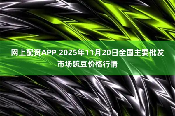 网上配资APP 2025年11月20日全国主要批发市场豌豆价格行情
