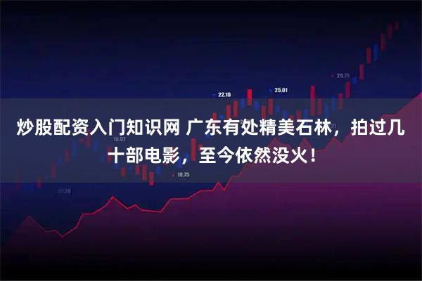 炒股配资入门知识网 广东有处精美石林，拍过几十部电影，至今依然没火！