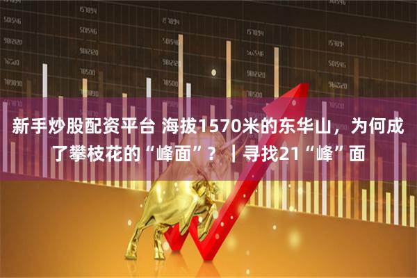 新手炒股配资平台 海拔1570米的东华山，为何成了攀枝花的“峰面”？｜寻找21“峰”面